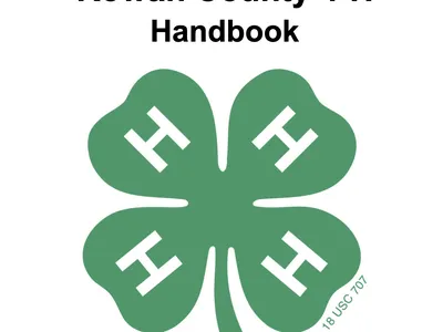 4-H clover logo
