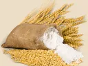 2021 Small Grain Update