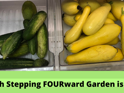 Youth Stepping FOURward Farden