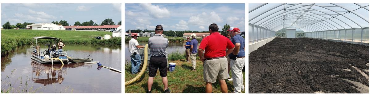 Lagoon dredging, temporary storage of removed sludge, and sludge drying in a greenhouse bed