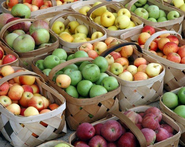 Piles of apples in baskets.