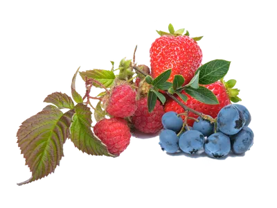 Strawberries and blueberries with stems