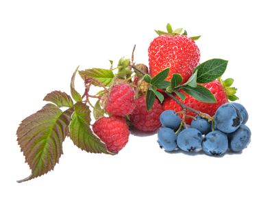 Strawberries and blueberries with stems