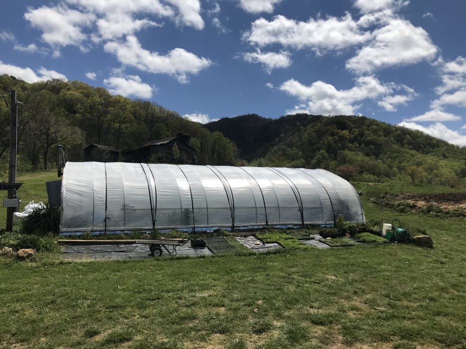 high tunnel example.