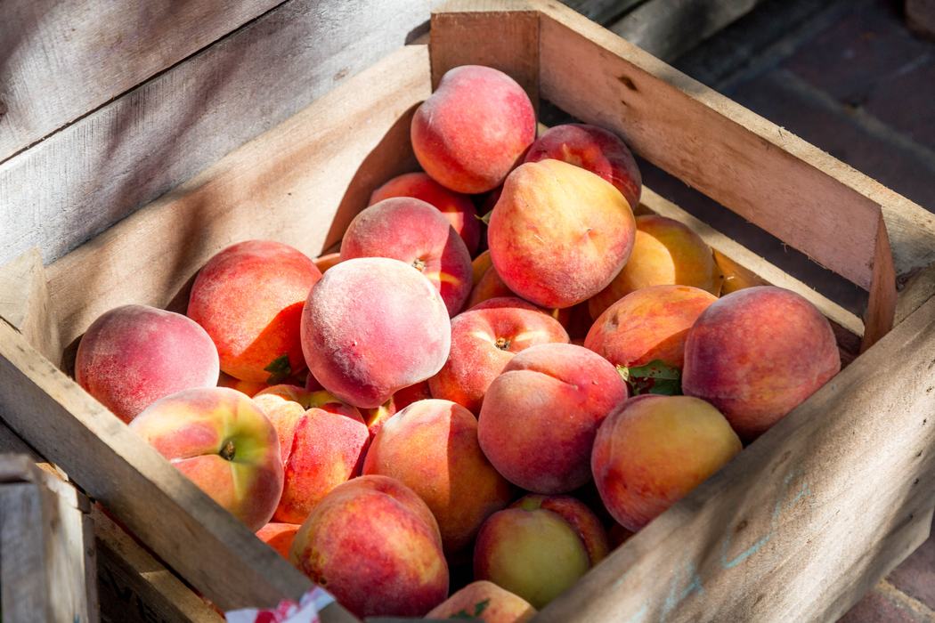 Crate of apples