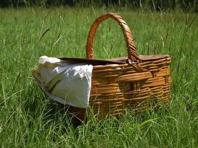 picnic basket in grass