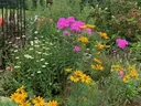 Flat Rock Pollinator Garden August 2021