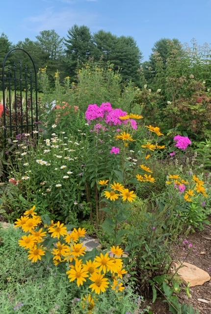 Flat Rock Pollinator Garden August 2021