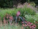 Pollinator Gardens