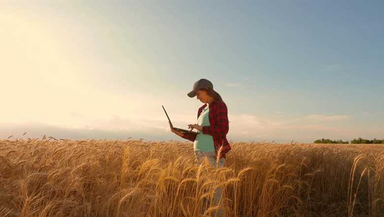 Girl in wheat field holding a laptop
