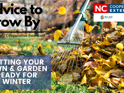 Rake gathering leaves; text: 'Advice to Grow By' and 'Getting your lawn ready for winter'