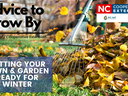 Rake gathering leaves; text: 'Advice to Grow By' and 'Getting your lawn ready for winter'