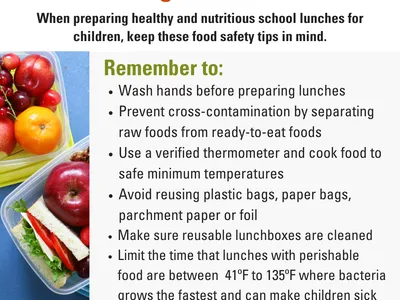 packing lunches 101