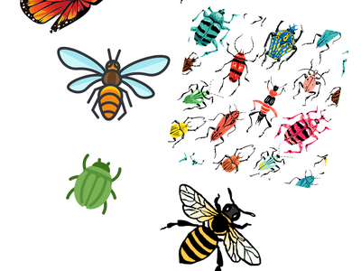 Bugs and bees