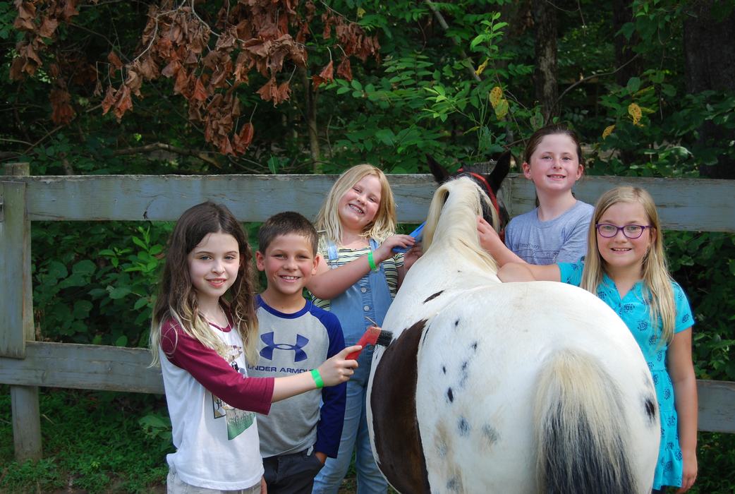 5 girls brushing a small painted horse