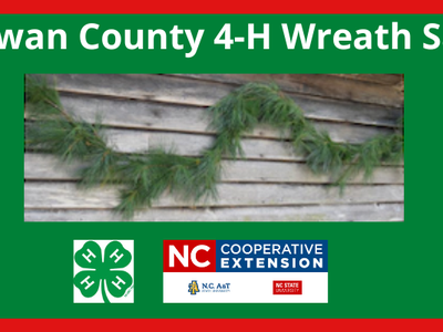 Rowan County 4-H Wreath Sale header with five wreaths and a pine garland