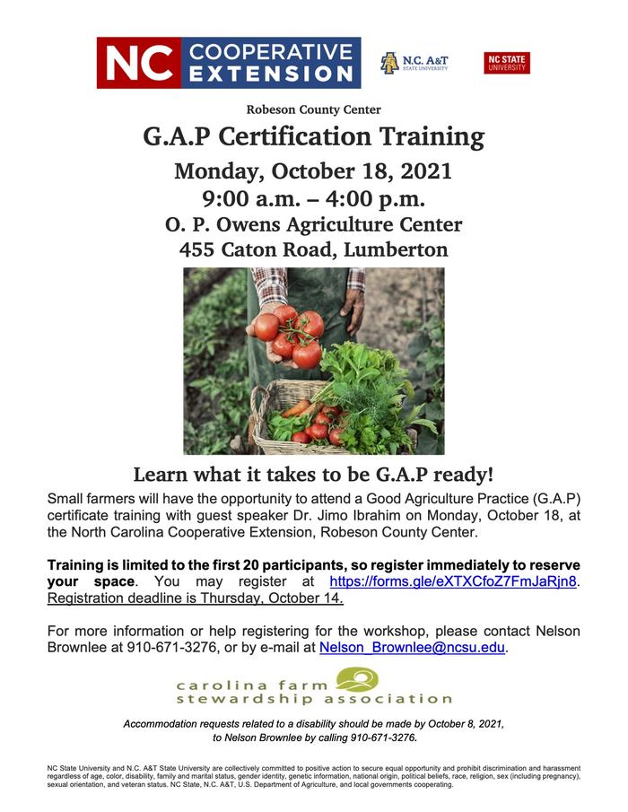 Hand holding tomatoes