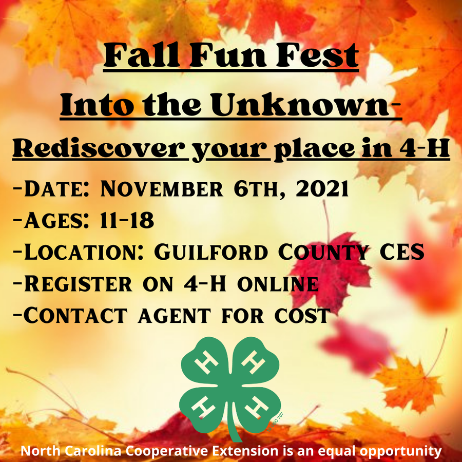Fall Fun Fest flyer