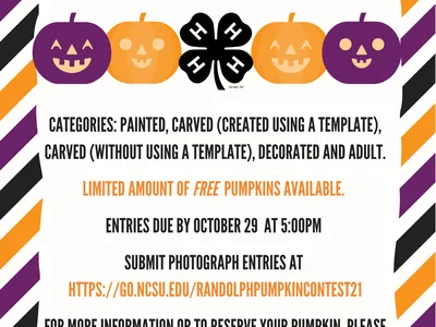 purple and orange pumpkins with information written on it