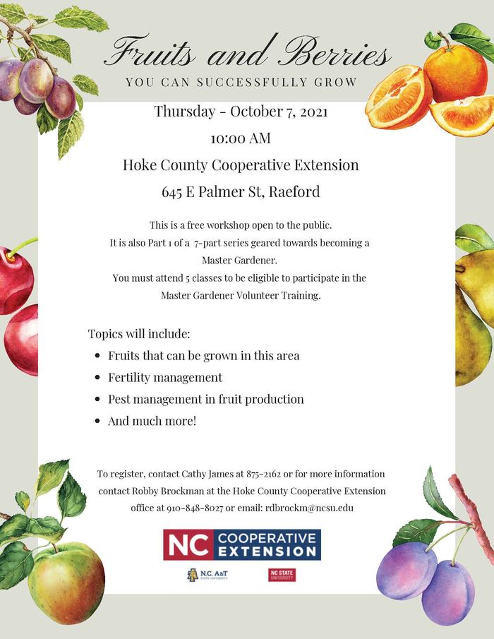 Fruit & Berries Workshop