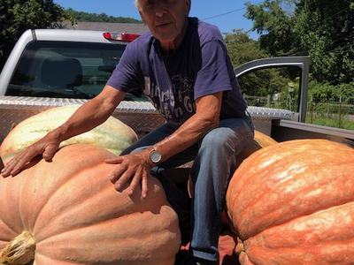 Raymond Norton with giant pumpkins on truck