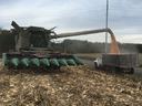 Combine in field