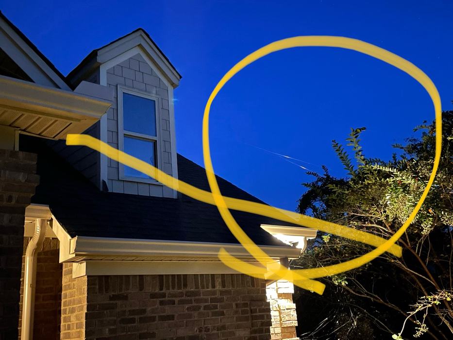 Joro Spider web