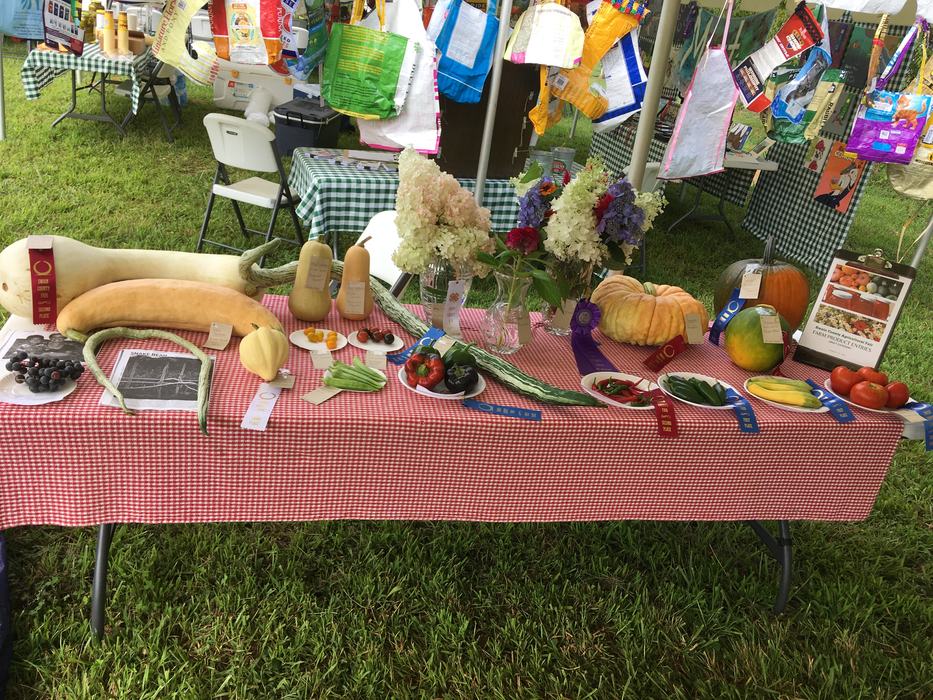 adult farm produce exhibit