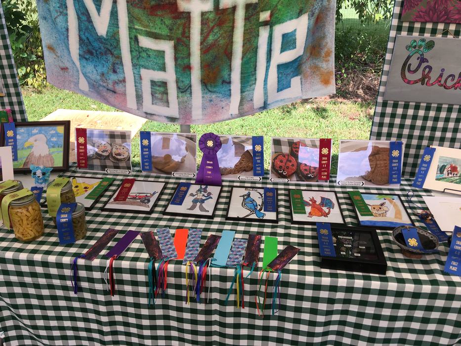 4-H Artwork