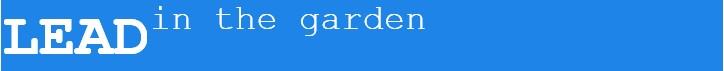 Lead int he garden header image
