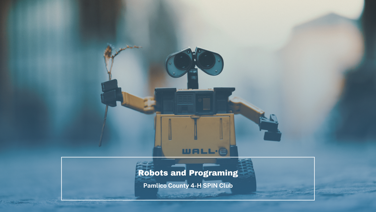 Robots and Programing