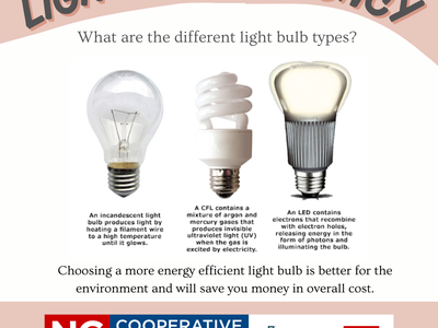 Light bulbs