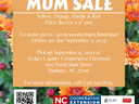 MUM SALE; $10 for 9" pot; orders due Sept 2, 2022; pick up Sept 9 at Stokes County Cooperative Extension