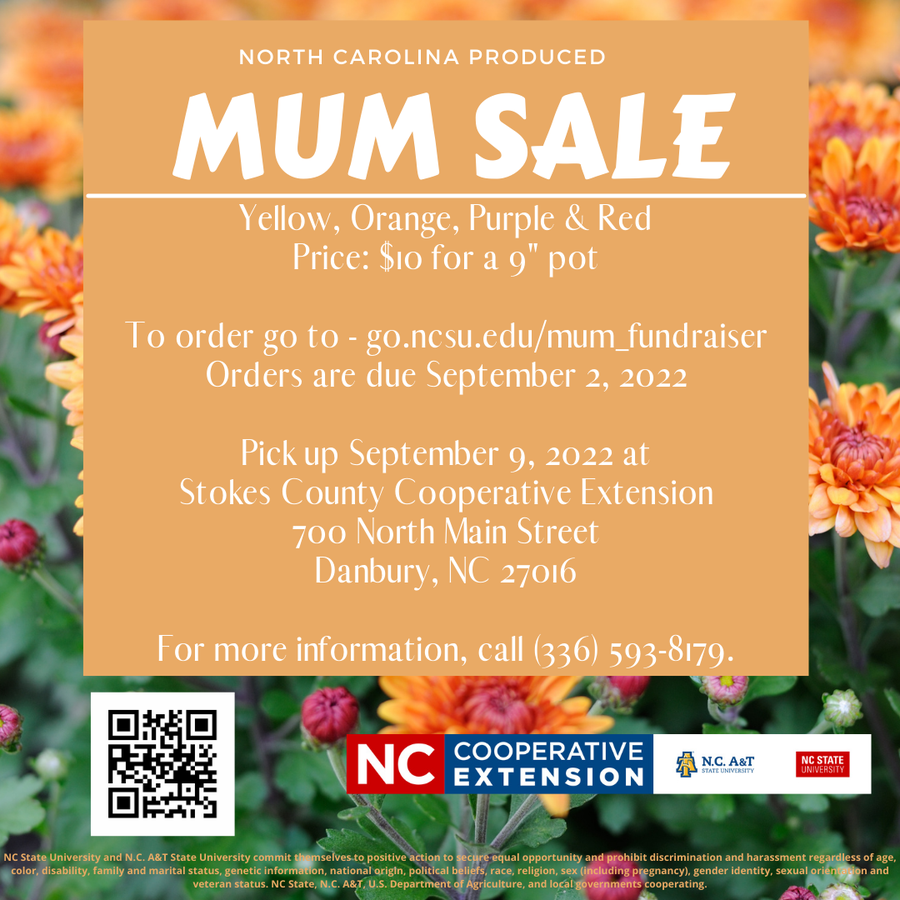 MUM SALE; $10 for 9" pot; orders due Sept 2, 2022; pick up Sept 9 at Stokes County Cooperative Extension