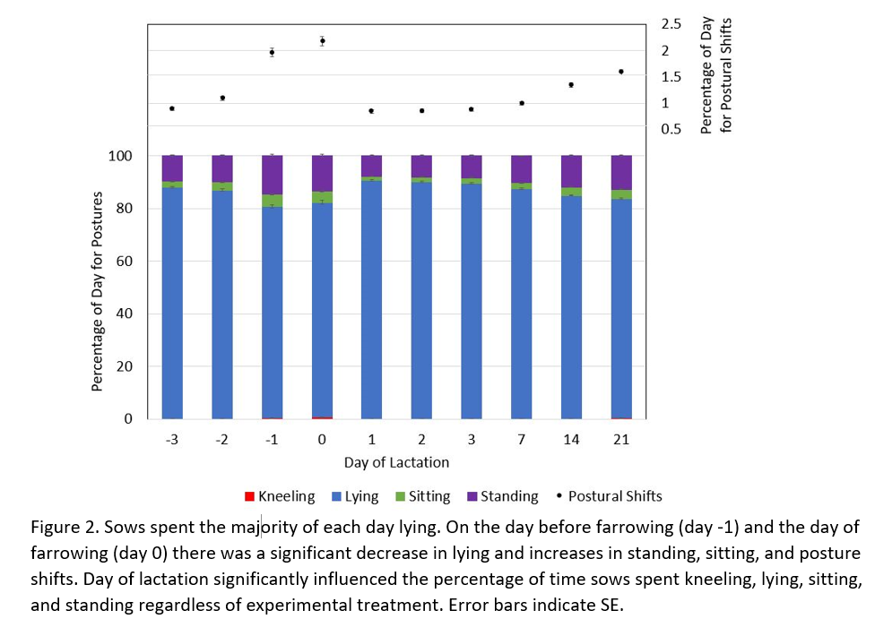 Sow Behaviour Graph Effect of Stall Size, Number of Heat Lamps During Farrowing: Part 2 ...
