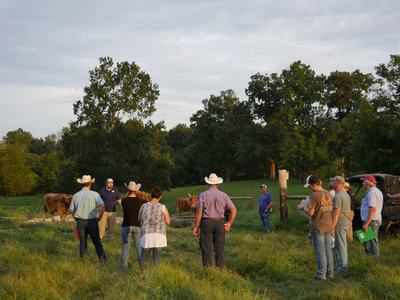 Group of people, some wearing cowboy hats, standing in a pasture near cattle.