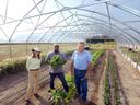 Paige Burns (left), pictured with Davon Goodwin and David Clark in a high tunnel at the Sandhills AgInnovation Center.