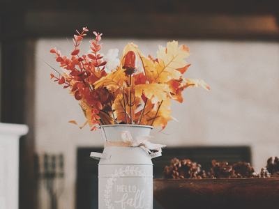 Autumn leaves and pine cones on farm table