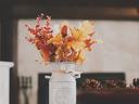 Autumn leaves and pine cones on farm table