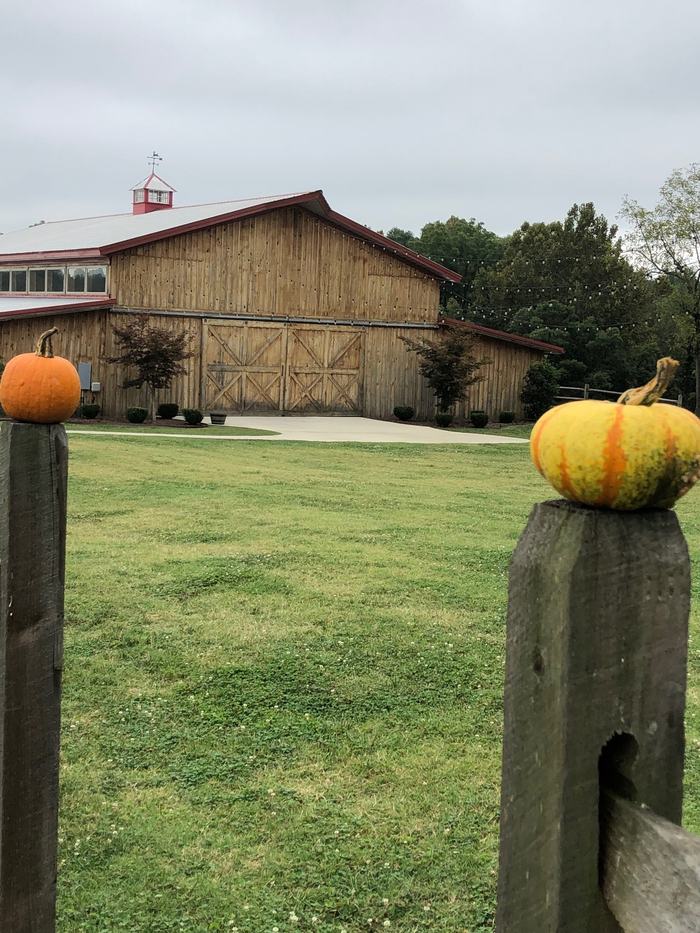Pumpkins