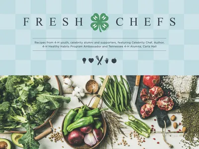 Fresh Chefs cookbook