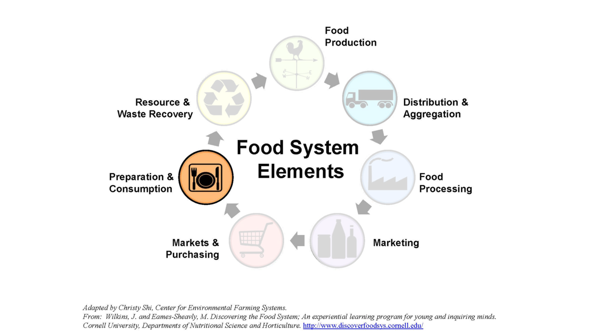 Diagram titled Food System Elements showing stages from food production to waste recovery