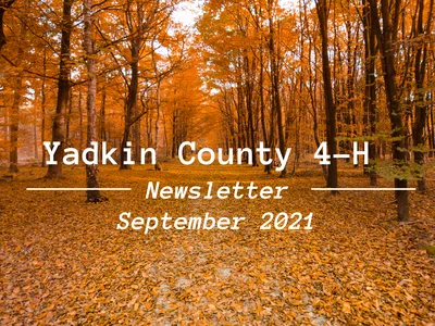 Fall Background