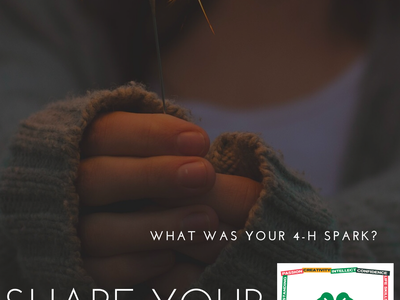 Close Up of Girl holding Sparkler as background. Asking for 4-H Alumni to share their 4-H Story about how they found their Spark in 4-H.