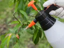 Applying Fungicide