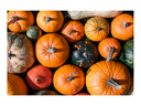 Assorted pumpkins and squash arranged closely together on grass