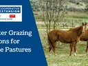 Winter Grazing Options for Horse Pastures