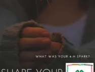 Hand holding lit sparkler; text: "What was your 4-H spark? Share your 4-H story. Find Your Spark."
