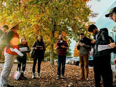 People looking at tree
