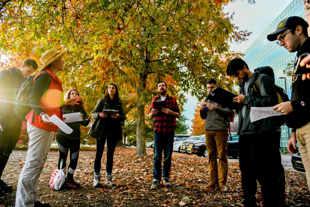 People looking at tree
